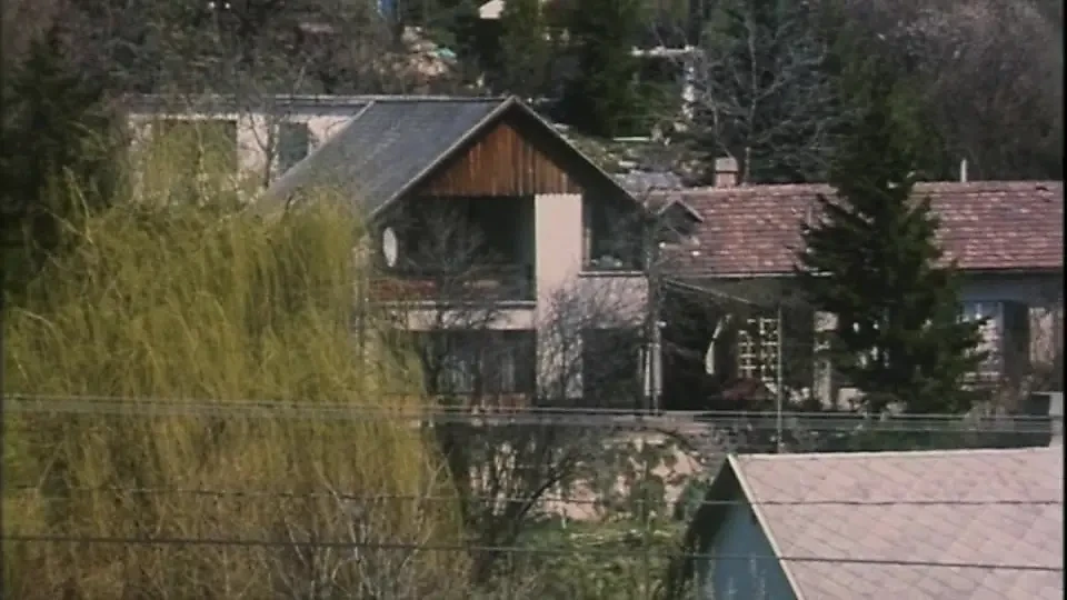 Vintage Threesome: the Girl, the MILF and the Young