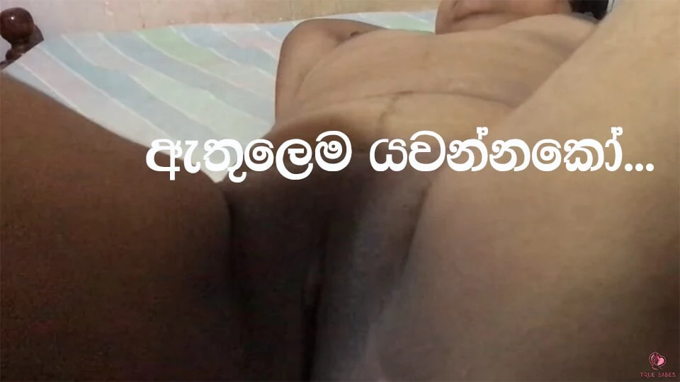 It’s a wet night with neibhours house