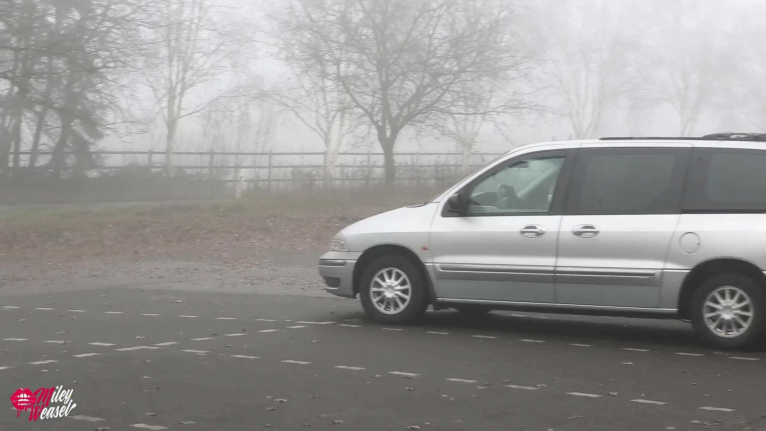 Wtf!? I Get in a Strangers Car and Get Fucked in the Ass