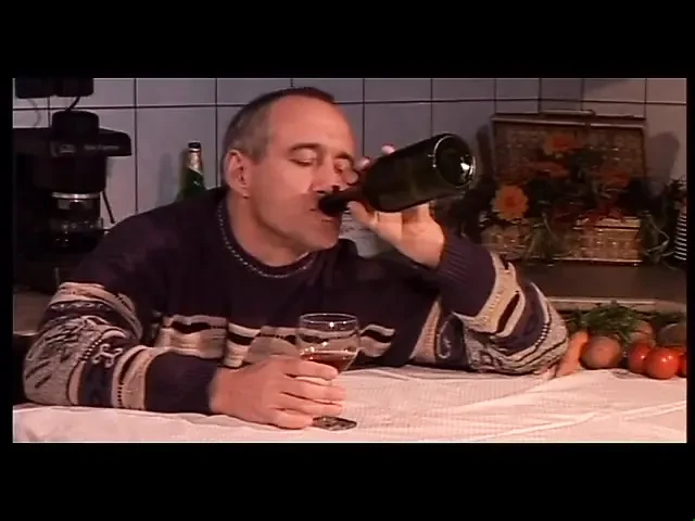 Stepather master – DVD